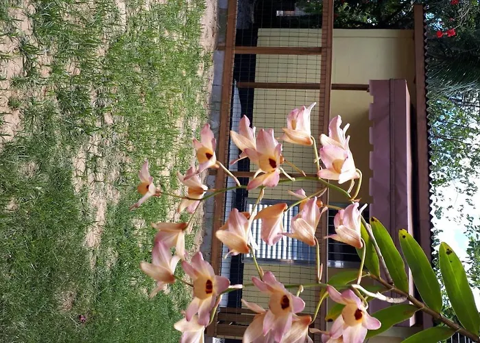Mini Casa