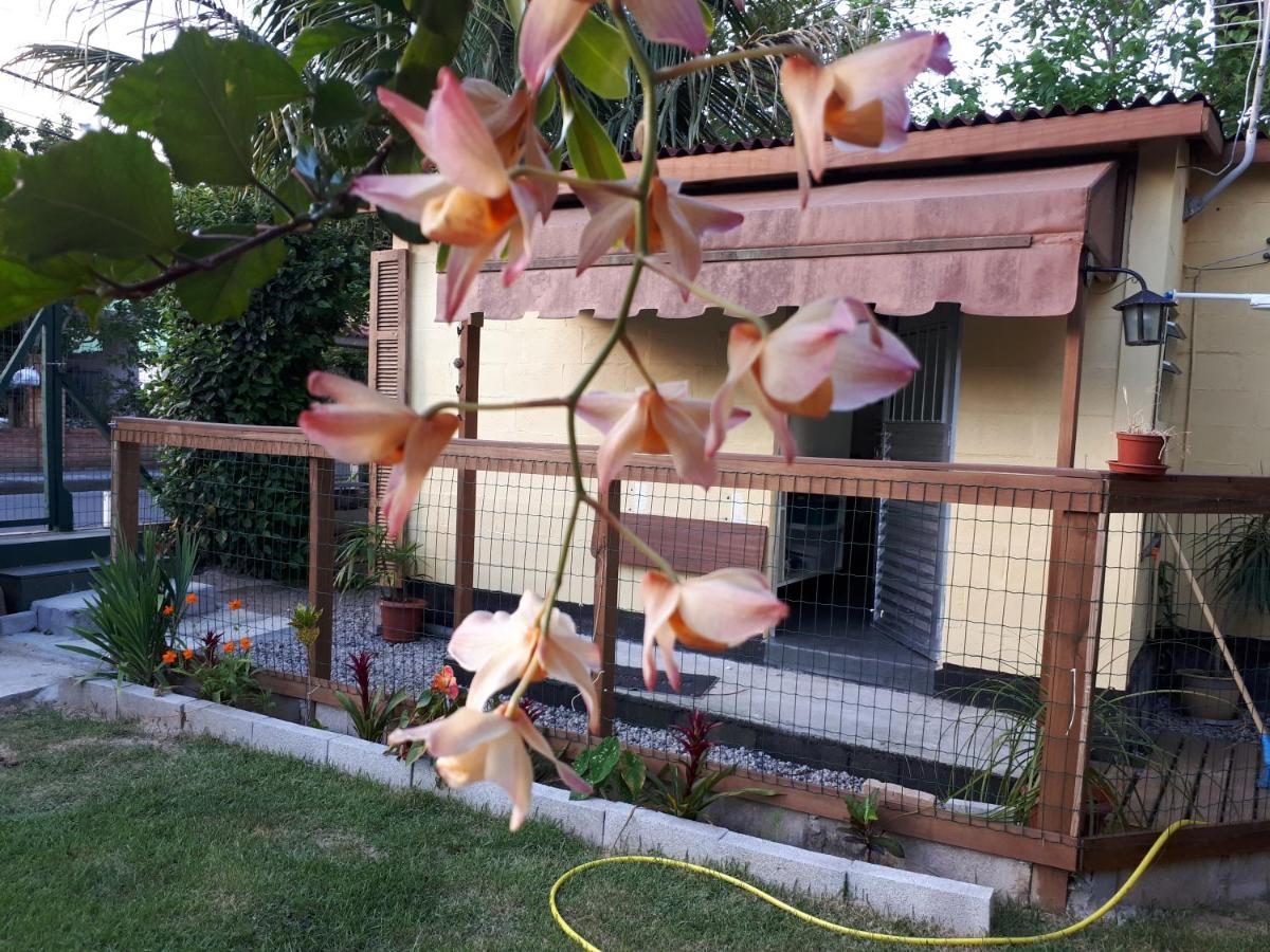 Mini Casa Сasa de vacaciones