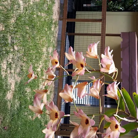 Mini Casa Villa Florianopolis Exterior photo